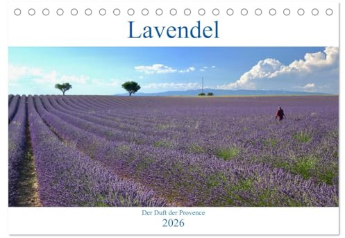 Lavendel. Der Duft der Provence (Tischkalender 2026 DIN A5 quer), CALVENDO Monatskalender: Licht, Duft und Farbe: Lavendel verkörpert die Provence (CALVENDO Natur)