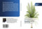 Palm Oil Processing Technology: Palm Oil and Palm Kernel Oil