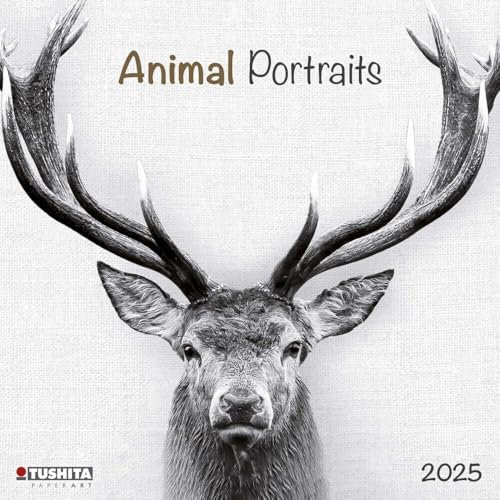 Animal Portraits 2025: Kalender 2025 (Wonderful World)