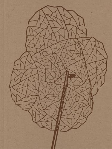 Alois Schild: Illusionsreserven