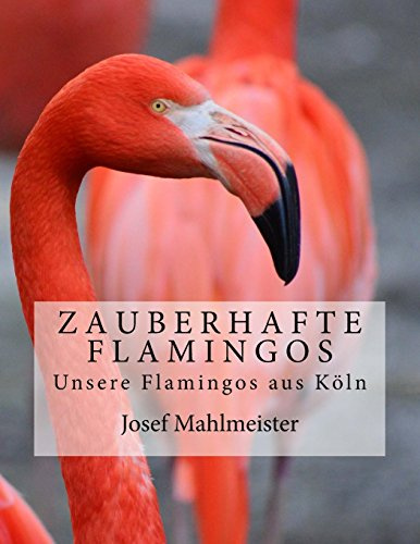 Zauberhafte Flamingos: Unsere Flamingos aus Köln (Die Abenteuer von Posinko, dem Flamingo aus dem Kölner Zoo, Band 7)