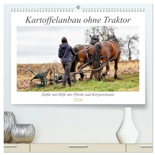 Kartoffelanbau ohne Traktor (hochwertiger Premium Wandkalender 2026 DIN A2 quer), Kunstdruck in Hochglanz: Der Anbau von Kartoffeln mit unseren Pferden und Körpereinsatz. (CALVENDO Tiere)