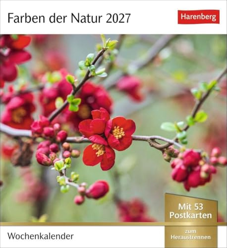 Farben der Natur Postkartenkalender 2027 - Wochenkalender mit 53 Postkarten: Farbenprächtige Naturaufnahmen in einem Fotokalender im Postkartenformat. Tischkalender zum Aufstellen mit 53 Postkarten