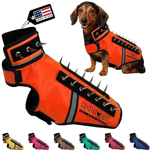 CoyoteVest SpikeVest Hundegeschirr, Weste für kleine Hunde, reflektierende Hundeweste mit Spikes, Schutz vor Kojoten, Raptor- und Tierangriffen, Anti-Hawk-Weste, USA (XXS-Fluoreszierendes Orange)