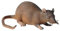 Cat Toy, Fake Interactive Toy for Animals Mice Cat, Fake Mice Toy | Halloween Simulated | Realistic Fake for Jokes D