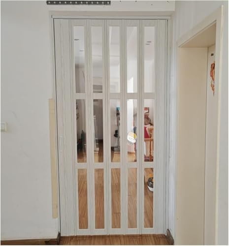 SAFWELAU Porte Intérieure Porte placard coulissante pour le bureau à domicile de porte de cuisine, Portes à persiennes en acrylique transparent Porte pliante de séparation de pièce(64x80in(166x203cm))