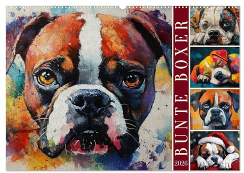 Bunte Boxer (Wandkalender 2026 DIN A2 quer), CALVENDO Monatskalender: Farbenfrohe Boxer-Portraits (CALVENDO Tiere)