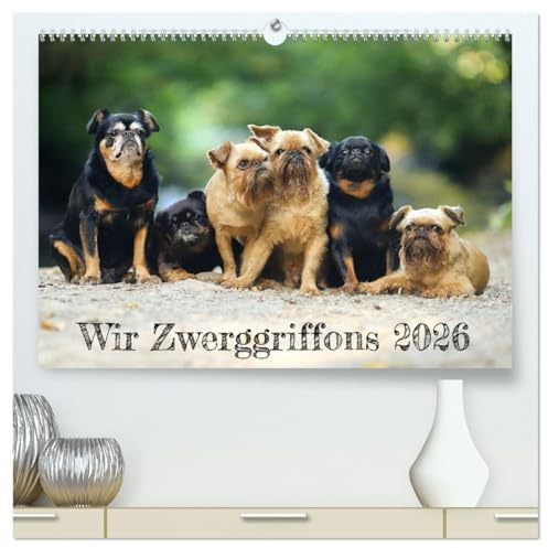Wir Zwerggriffons 2026 (hochwertiger Premium Wandkalender 2026 DIN A2 quer), Kunstdruck in Hochglanz: Bezaubernde Vertreter der Rasse Zwerggriffon ... den Betrachter in den Bann! (CALVENDO Tiere)
