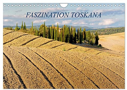 Faszination Toskana (Wandkalender 2026 DIN A4 quer), CALVENDO Monatskalender: Landschaften und Architektur aus Italiens zauberhafter Toskanaregion (CALVENDO Orte)
