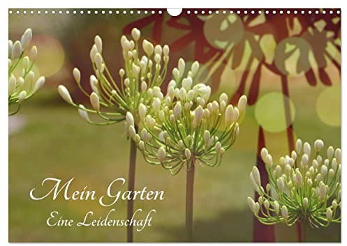 Mein Garten Eine Leidenschaft (Wandkalender 2026 DIN A3 quer), CALVENDO Monatskalender: Ich liebe meinen Garten zu jeder Jahreszeit (CALVENDO Natur)