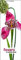 Flowers: Immerwährender Vertikal-Kalender, 40 x 110 cm