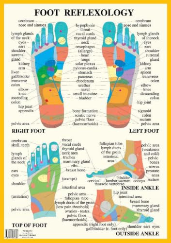 Foot Reflexology -- A2