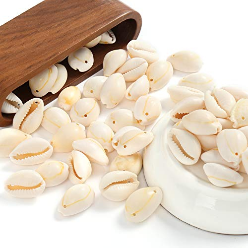 HERZWILD muscheln bastelnmuscheln mit löcher Ideal zum Basteln, für Deko oder zum Schmuckherstellung (17-20mm)