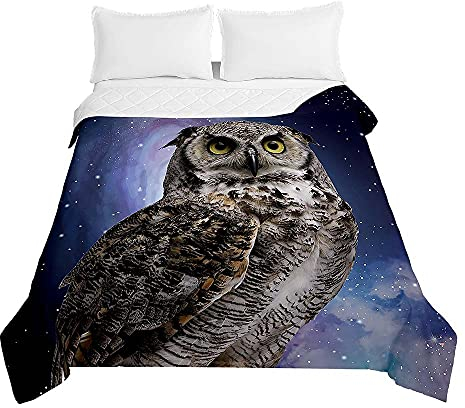 Chickwin Tagesdecke Bettüberwurf Steppdecke, 3D Eule Drucken Tagesdecken mit Präge Wohndecke aus Mikrofaser Gesteppt Bettdecke für Einzelbett Doppelbett (Stern,180x220cm)