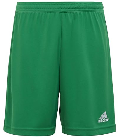 adidas Entrada 22 Shorts