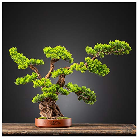 Künstliche Pflanze Willkommen Kiefer Klippe Zypresse Simulation Bonsai Wohnzimmer Hotel Eingang Dekoration Ornamente Lila Sand Blumentopf Topfpflanzen Künstliche Zimmerpflanzen (Farbe: A) Feito na