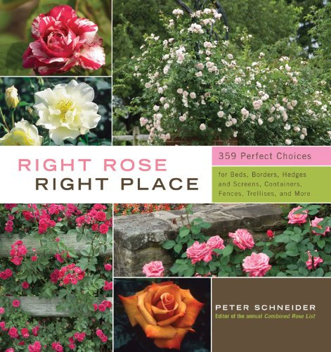 Right Rose Right Place: 395 Perfect Choices for Beds, Borders, Hedges and Screens, Containers, Fences, Trellises, and More