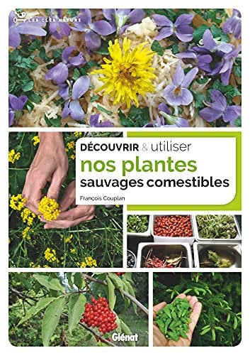 Découvrir et utiliser nos plantes sauvages comestibles