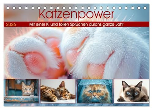 Katzenpower (Tischkalender 2026 DIN A5 quer), CALVENDO Monatskalender: Dieser Kalender kombiniert charmante, witzige und inspirierende Katzenbilder ... durch den Alltag begleiten. (CALVENDO Tiere)
