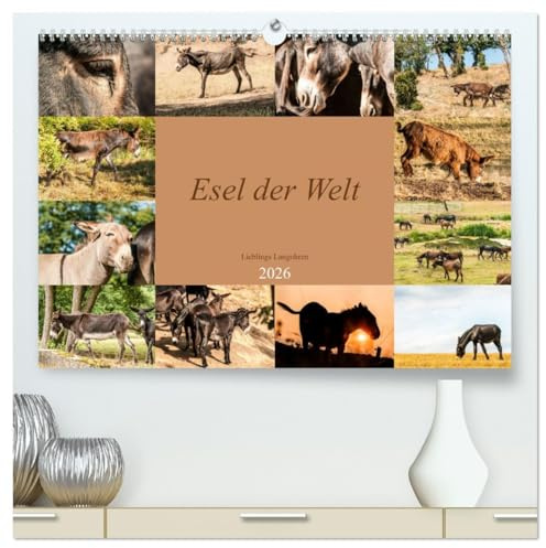 Esel der Welt - Lieblings Langohren (hochwertiger Premium Wandkalender 2026 DIN A2 quer), Kunstdruck in Hochglanz: Seltene Eselrassen der Kulturen (CALVENDO Tiere)