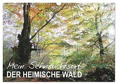 Mein Sehnsuchtsort, der heimische Wald (Wandkalender 2026 DIN A3 quer), CALVENDO Monatskalender: Zauberhafte Naturfotografie im Wald (CALVENDO Natur)