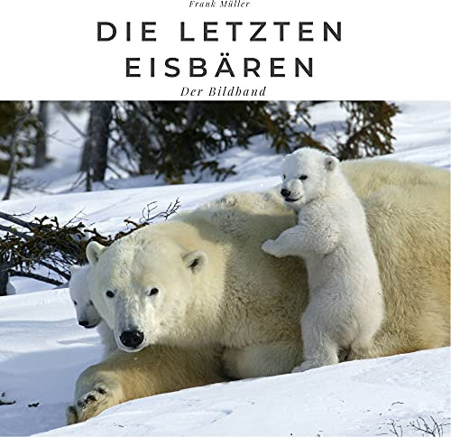 Die letzten Eisbären: Der Bildband