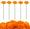 AIEX 30 Pezzi Fiori di Calendula con Steli, Mazzi di Calendula Fiori Artificiali Arancioni per Decorazioni di Nozze Halloween Ghirlande Progetti Fai Da Te Centrotavola