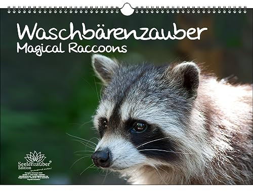 Waschbärenzauber DIN A3 Immerwährender Kalender Waschbären - Seelenzauber