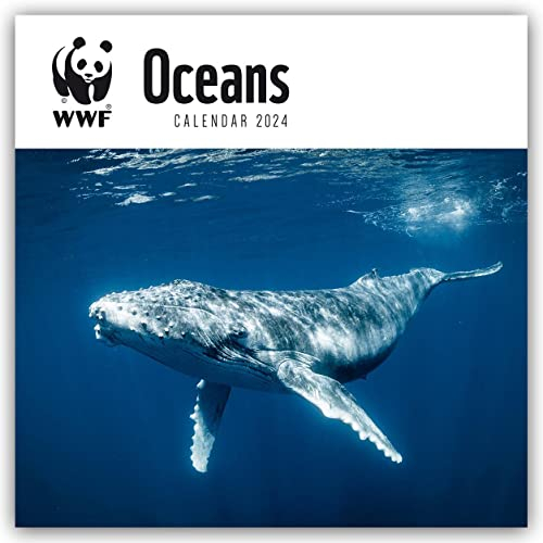 WWF Oceans – Meere – Ozeane – Weltmeere 2024: Original Carousel-Kalender [Mehrsprachig] [Kalender] (Wall-Kalender)
