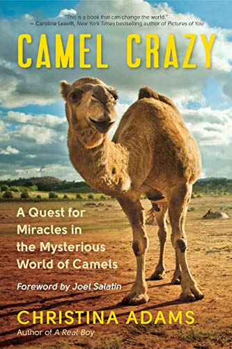 Camel Crazy: A Quest for Healing in the Secret World of Camels