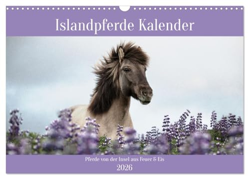 Islandpferde Kalender (Wandkalender 2026 DIN A3 quer), CALVENDO Monatskalender: 12 Pferde Bilder, die alle auf der Vulkaninsel Island entstanden sind. (CALVENDO Tiere)