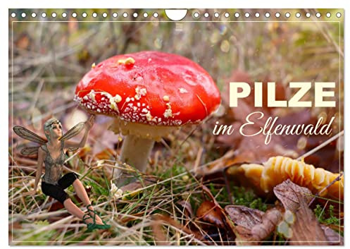 Pilze im Elfenwald (Wandkalender 2026 DIN A4 quer), CALVENDO Monatskalender: Zauberhafte Fotokompositionen (CALVENDO Natur)