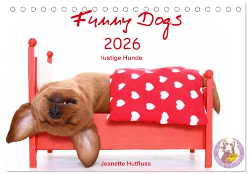 Funny Dogs (Tischkalender 2026 DIN A5 quer), CALVENDO Monatskalender: lustige Hunde (CALVENDO Tiere)