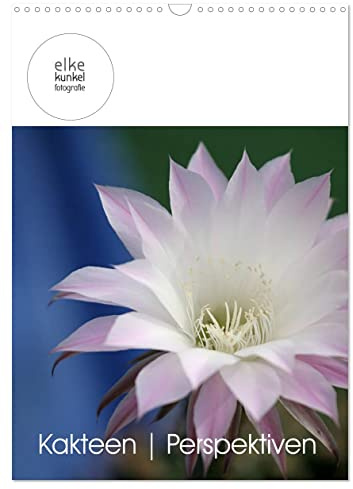 Kakteen Perspektiven (Wandkalender 2026 DIN A3 hoch), CALVENDO Monatskalender: Für Kakteenliebhaber: Ein anderer Blick auf die bizarre Schönheit der stacheligen Sonnenanbeter! (CALVENDO Natur)