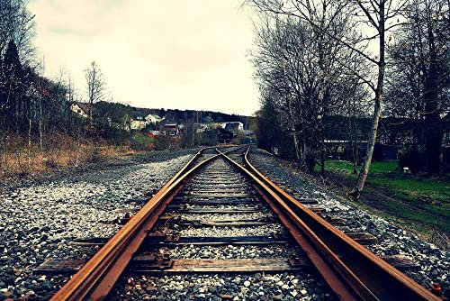 hansepuzzle 13431 - Eisenbahn Puzzle 2000 Teile - Natur Motiv mit hochwertiger Aufbewahrung: Kartonbox und wiederverschließbarem Beutel - Format 90 × 60 cm