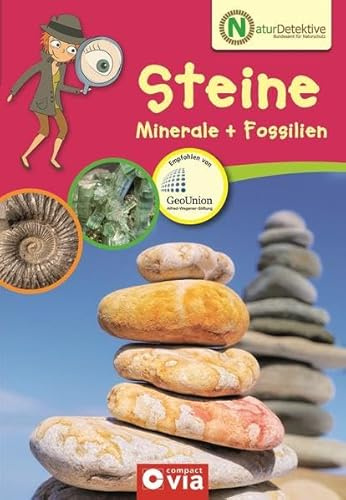 Steine, Minerale & Fossilien: Wissen und Beschäftigung für kleine Naturforscher ab 6 Jahren (Naturdetektive / Wissen und Beschäftigung für kleine Naturforscher ab 6 Jahren)