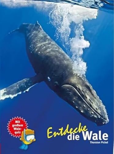 Entdecke die Wale: Mit großem Walequiz (Entdecke - Die Reihe mit der Eule: Kindersachbuchreihe)