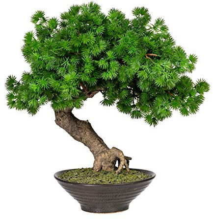 Fuchs seit 1895 Künstlicher Bonsai Lärche ca 37 cm in Keramikschale