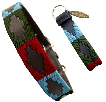 Carlos Diaz Echtes Leder gewachstes Premium-Polo-Hundehalsband mit Stickerei XS Blau Grün Rot (Clorinda)