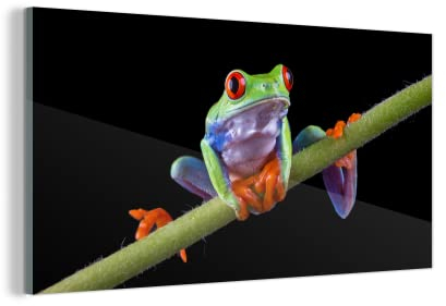 MuchoWow Glasbild Glasfoto Wandbild Bilder Deko 160x80 cm Frosch - Pflanze - Schwarz