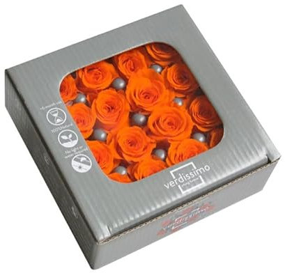 Générique VERDISSIMO Rosa Stabilizzata Principessa da 2 a 2,5 cm di diametro (arancione)