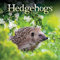 Hedgehogs – Igel 2025: Original Carousel-Kalender [Mehrsprachig] [Kalender] (Wall-Kalender)