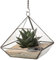 Ultra 15x15x15.7cm Triangular Clear Glass Terrarium Geometrische Form Für die Anzeige von Hochzeitstüchen Einzigartiges Zentrepiece Oder Fensterbänke für Luftanlagen Fern Moss Sukkulenten im Garten