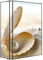 banjado® XXL Medizinschrank abschliessbar mit Motiv Perlenmuschel 35x46x15cm - großer Arzneischrank/Medikamentenschrank aus Metall zur Medikamenten Aufbewahrung - Apothekerschrank mit 3 Schlüsseln