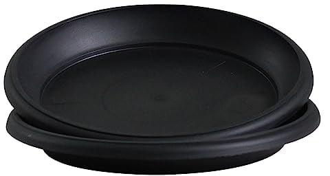 Olly & Rose Lot de 2 soucoupes en plastique noir mat de taille moyenne pour plantes et pots de fleurs pour intérieur et extérieur - 18 cm de diamètre
