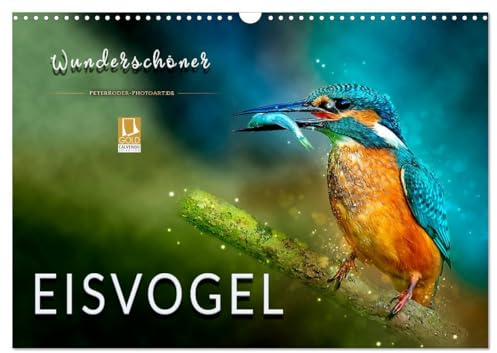 Wunderschöner Eisvogel (Wandkalender 2025 DIN A3 quer), CALVENDO Monatskalender: Eindrucksvolle Bilder der schillernden Vögel. (CALVENDO Tiere)