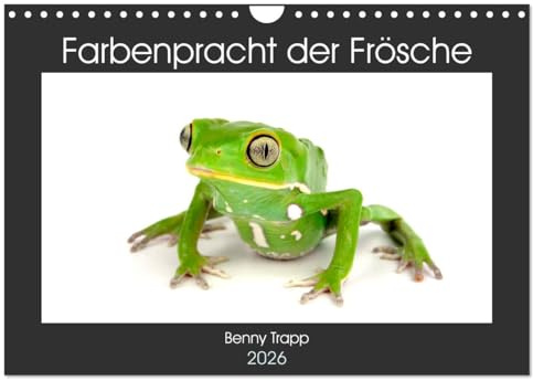 Farbenpracht der Frösche (Wandkalender 2026 DIN A4 quer), CALVENDO Monatskalender: Bunte Frösche aus aller Welt (CALVENDO Tiere)