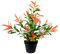 Crystals Artificial Plants - Faux Ficus, Cycas, Palm, Bay Trees, Winter Sweet, Paradise & Photinia for Indoor Décor, Home, Office & Garden Use (80cm - Photinia Tree)