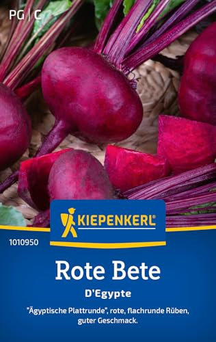 Kiepenkerl Rote Betesamen D'Egypte 1010950 - Gemüsesamen für Rote Bete mit flachrunden Rüben und einem Inhalt für 6 bis 8 lfd. Meter - Gemüse Pflanzen, Saatgut