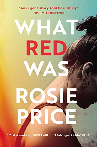 What Red Was: The powerful literary novel for readers of David Nicholls, Elizabeth Day, and Meg Wolitzer